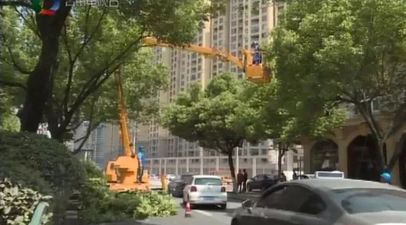 青田石郭旧村改造,青田石郭上村旧村改造规划图