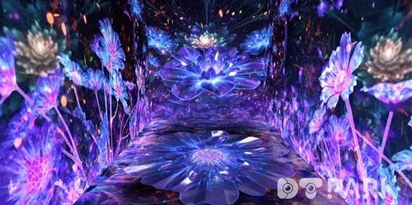 第二十届深圳文博会看点,文博会深圳精彩图片