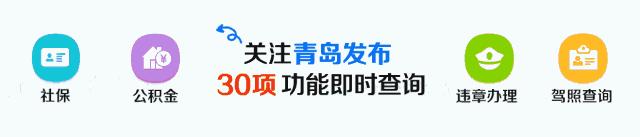 「教育」家长速看！青岛公布205家校外培训机构黑名单（附详细名单）