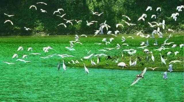 厉害了，驻马店！又被国务院点名表扬！城市发展大变化，惊艳全国……