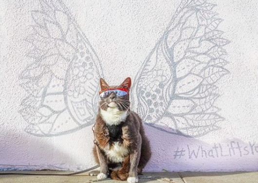 上帝给他关上了一扇门续写,上帝给他关上一扇门却打开一扇窗