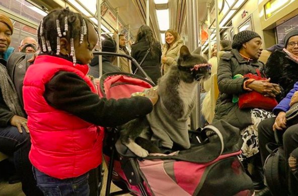 上帝给他关上了一扇门续写,上帝给他关上一扇门却打开一扇窗