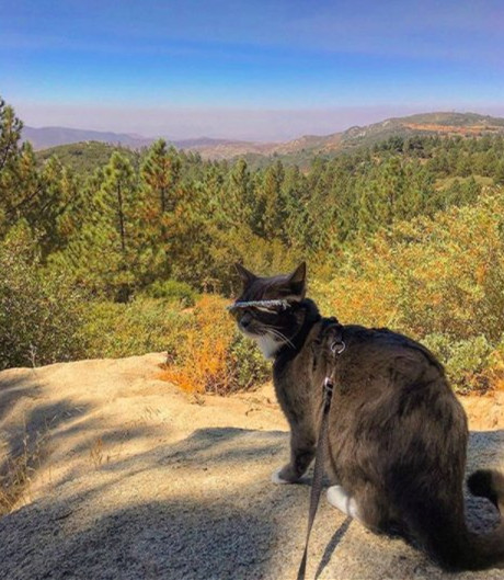 上帝给他关上了一扇门续写,上帝给他关上一扇门却打开一扇窗