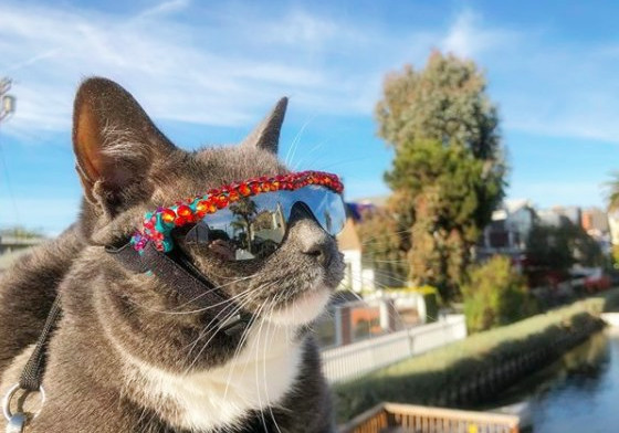 上帝给他关上了一扇门续写,上帝给他关上一扇门却打开一扇窗