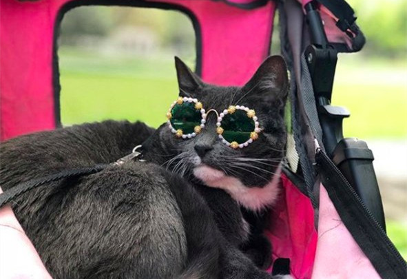 上帝给他关上了一扇门续写,上帝给他关上一扇门却打开一扇窗