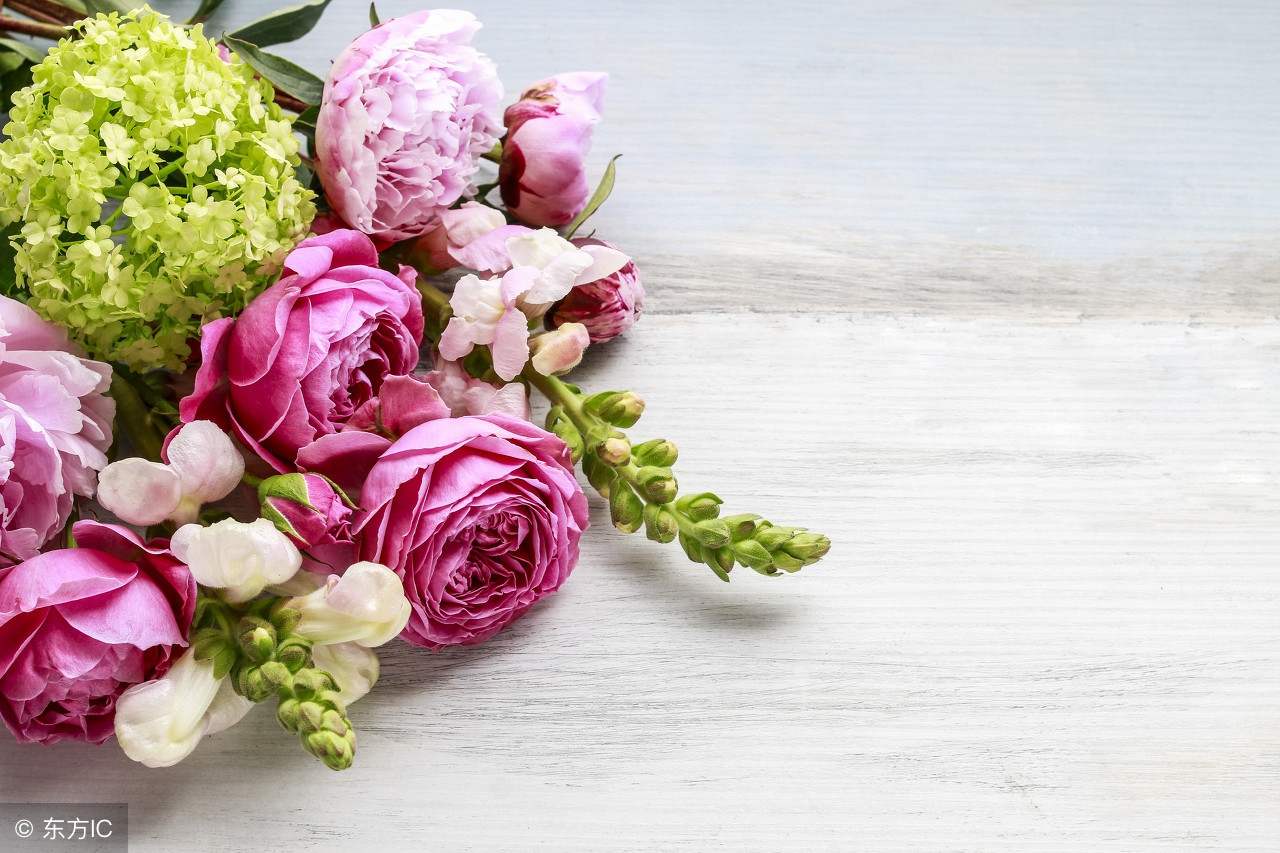 母亲节的礼物阅读练习,母亲节礼物书单