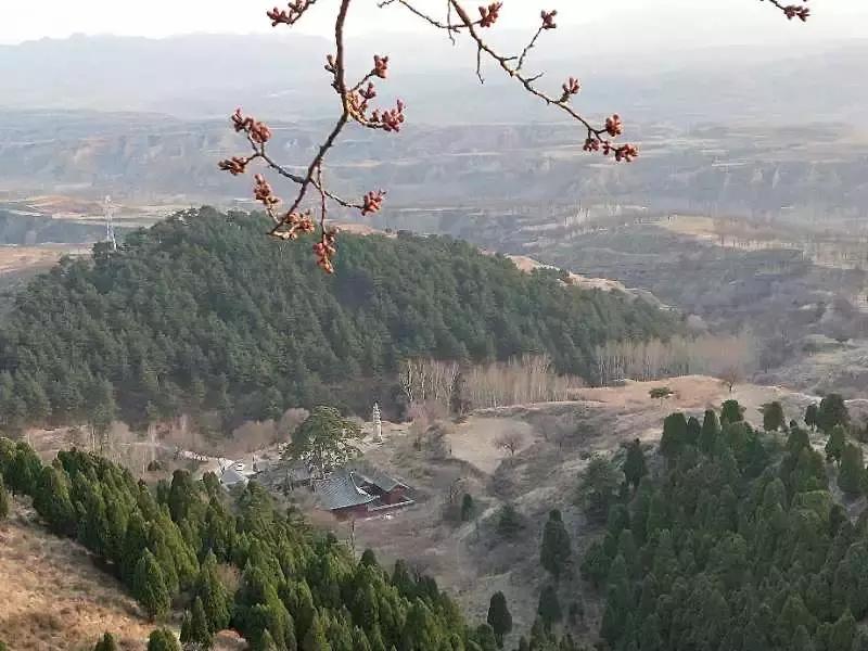 李旭清煤雕,李旭清最新视频