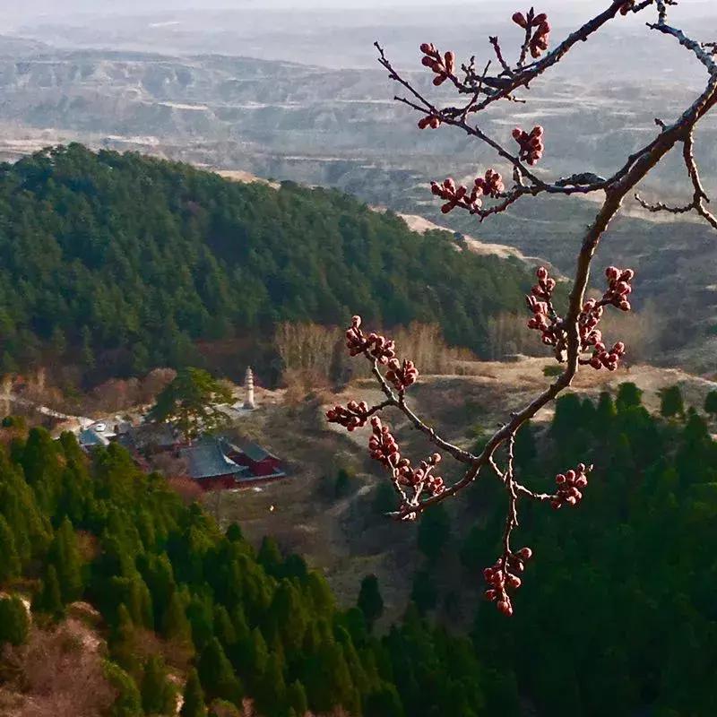 李旭清煤雕,李旭清最新视频