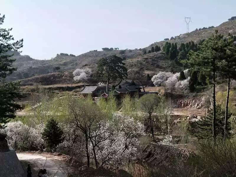 李旭清煤雕,李旭清最新视频