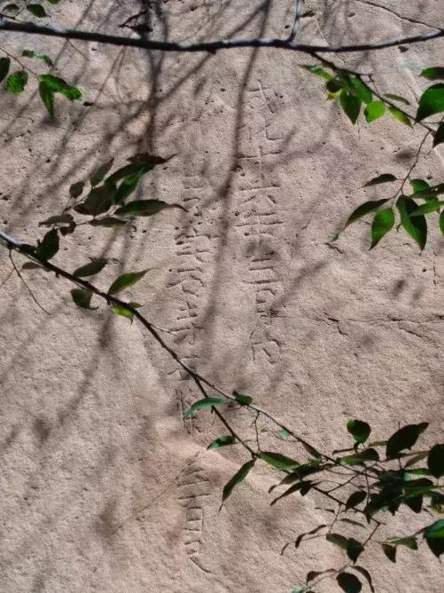 李旭清煤雕,李旭清最新视频