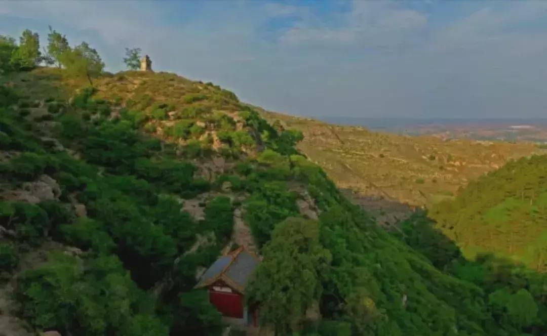 李旭清煤雕,李旭清最新视频