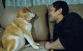 漱口水洁牙慕斯,比牙膏好用的漱口水