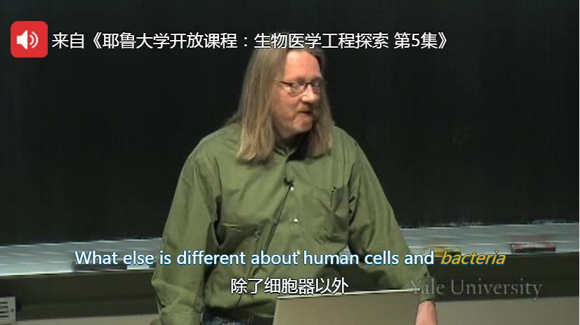 要背到多少单词才能不用背单词,不用背单词高效记住单词