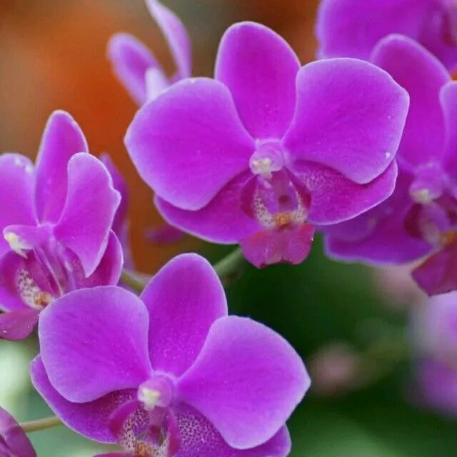 ღღ群里的朋友，大家好！为您送上最美的中秋群聊动图，快收藏~