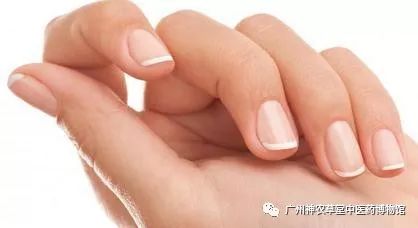 大姨妈血入药不白流了，人指甲制作喉炎丸，还有哪一些你意想不到的药？