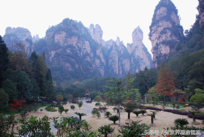 张家界旅游注意事项跟团,去张家界旅游注意事项和建议