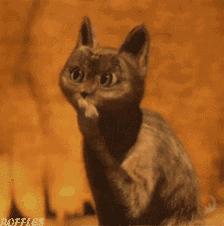 少年心脏猝死急救,胸口刺痛像针扎是猝死的前兆吗