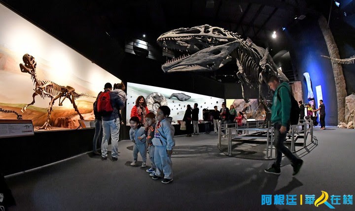 来到恐龙世界解开了恐龙灭绝之谜,探秘恐龙王国恐龙灭绝