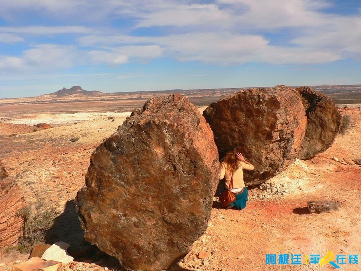 来到恐龙世界解开了恐龙灭绝之谜,探秘恐龙王国恐龙灭绝