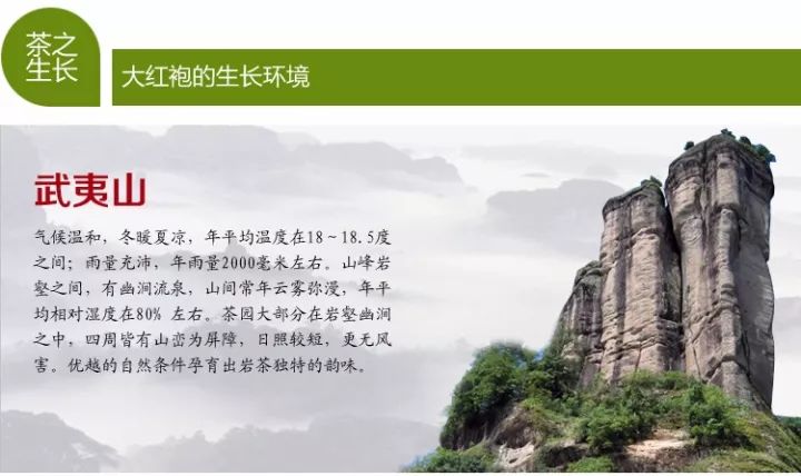 一次性茶叶回收,一次性茶叶讲解视频