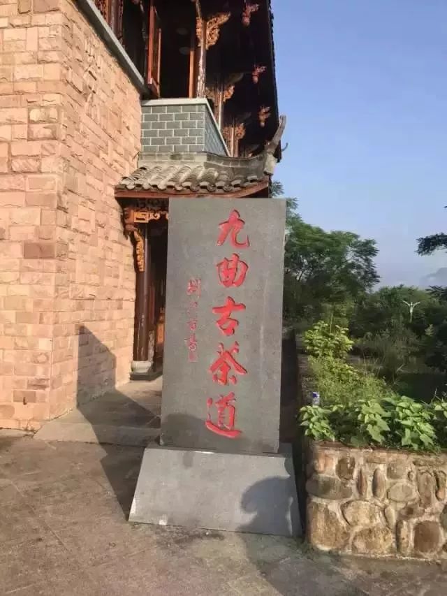 一次性茶叶回收,一次性茶叶讲解视频