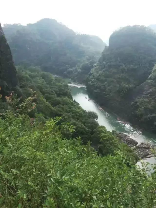 一次性茶叶回收,一次性茶叶讲解视频