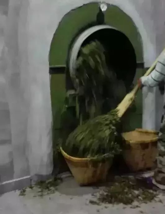 一次性茶叶回收,一次性茶叶讲解视频