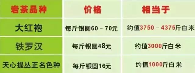 一次性茶叶回收,一次性茶叶讲解视频