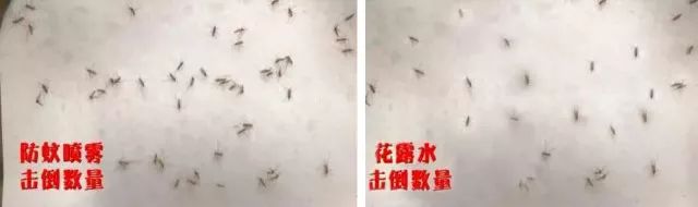 驱蚊喷雾妈妈专属,甜馨驱蚊液