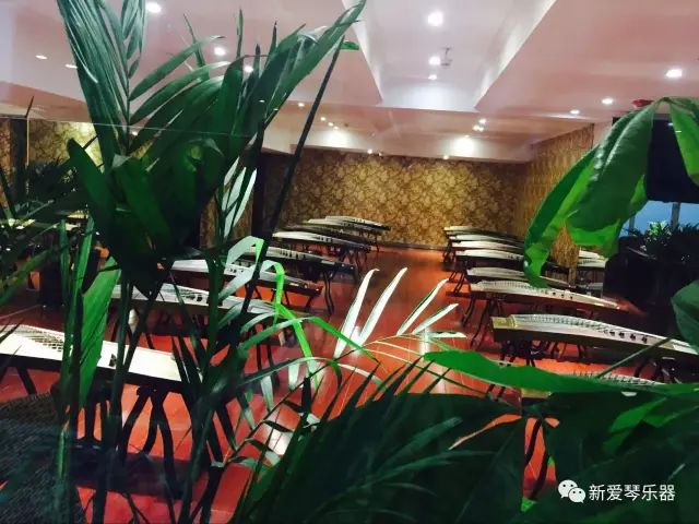 古筝零基础免费试学课程,学古筝需要准备什么用品