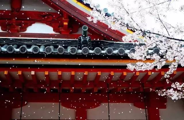 心宽能容天下事,眼宽能容天下景