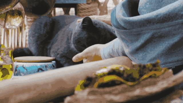 出租屋改造捡破烂,靠捡废品装修