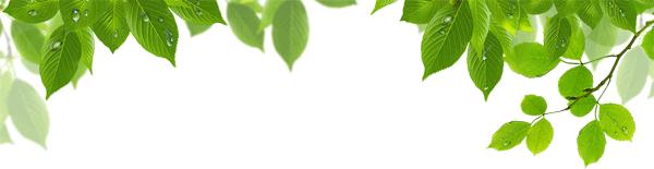 面对家长送礼怎么办,家长要给班主任送礼怎么拒绝