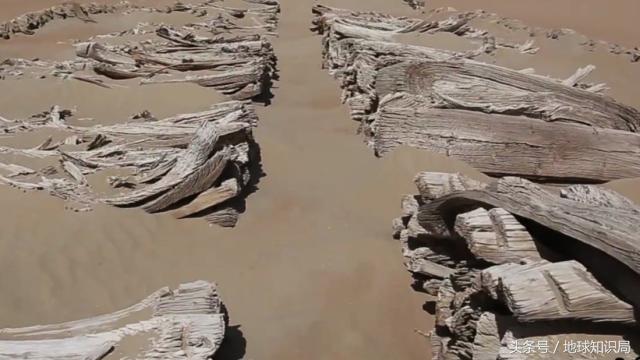 新疆的第一大湖,全疆第一大湖