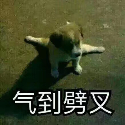 梦里花落知多少全文,梦里花落知多少三毛