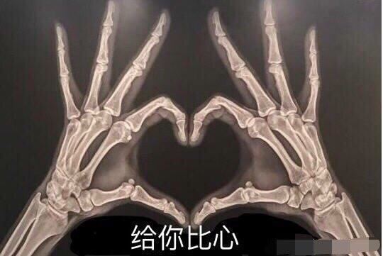 梦里花落知多少全文,梦里花落知多少三毛