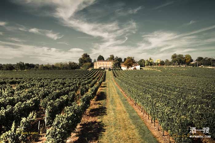 世界上最好的葡萄酒在法国波尔多,简述法国葡萄酒的著名产区及名品