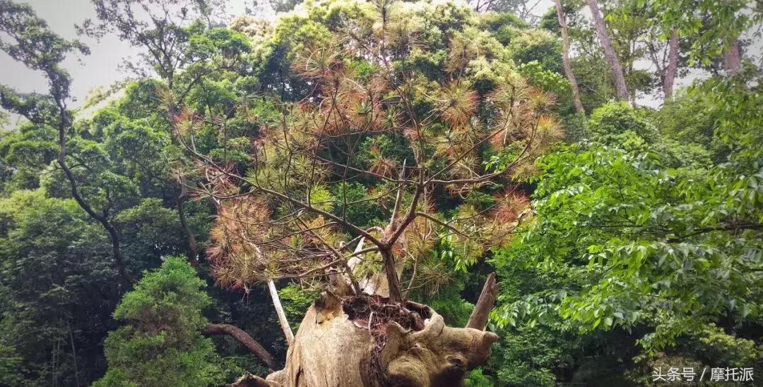 骑着摩托周末一起游,骑摩托来一场说走就走的旅行