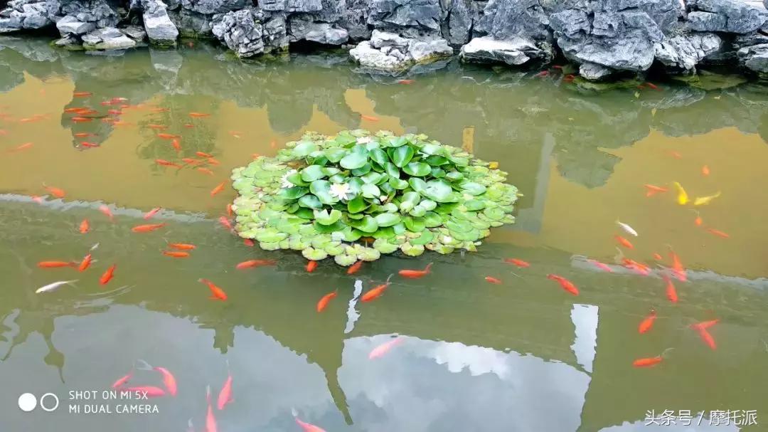 骑着摩托周末一起游,骑摩托来一场说走就走的旅行