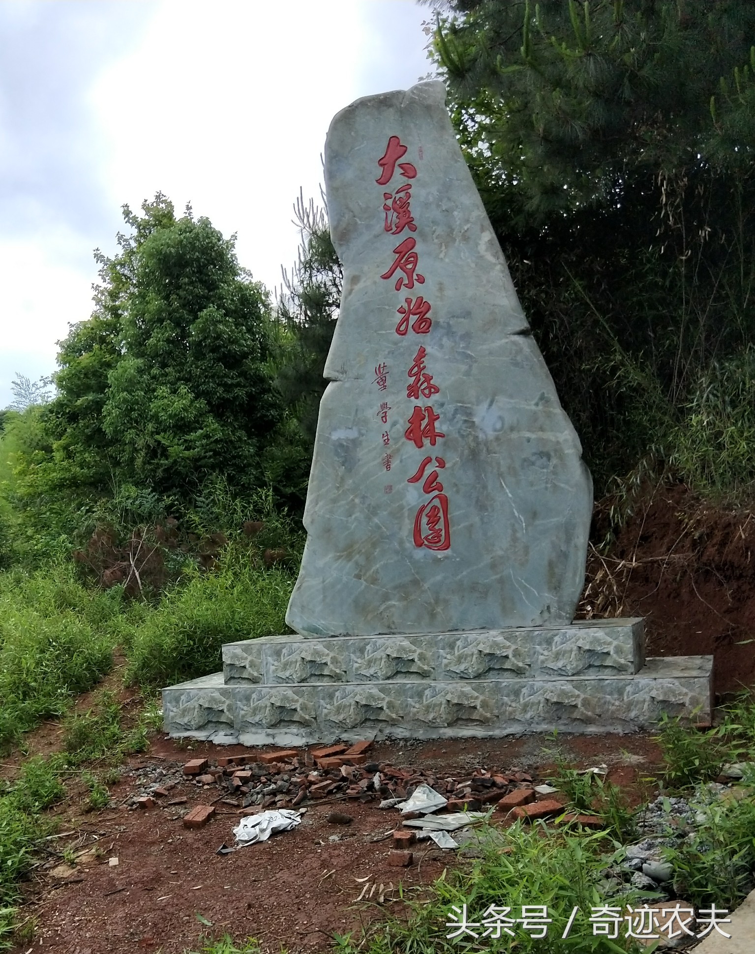 随笔孤独的人,随笔孤独的感悟