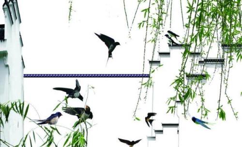 母亲弥留之际儿女下车跑着,母亲病重她赶回家照顾