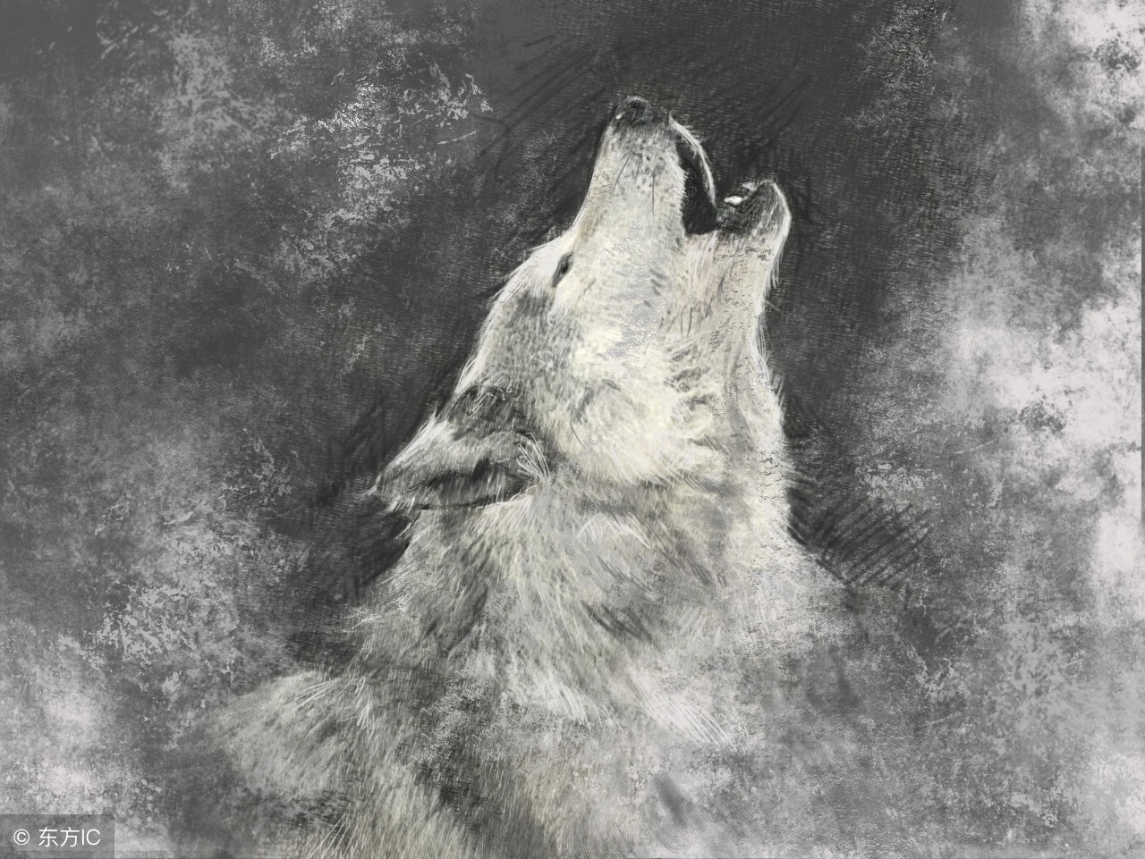 中国股市进入自杀时代，谁能为处于严重亏损的股民买单？