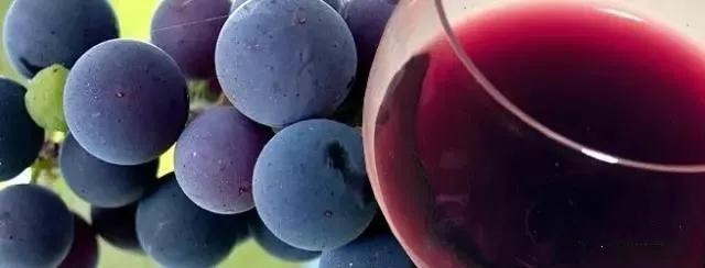 西班牙里奥哈红酒推荐,世界名酒展示