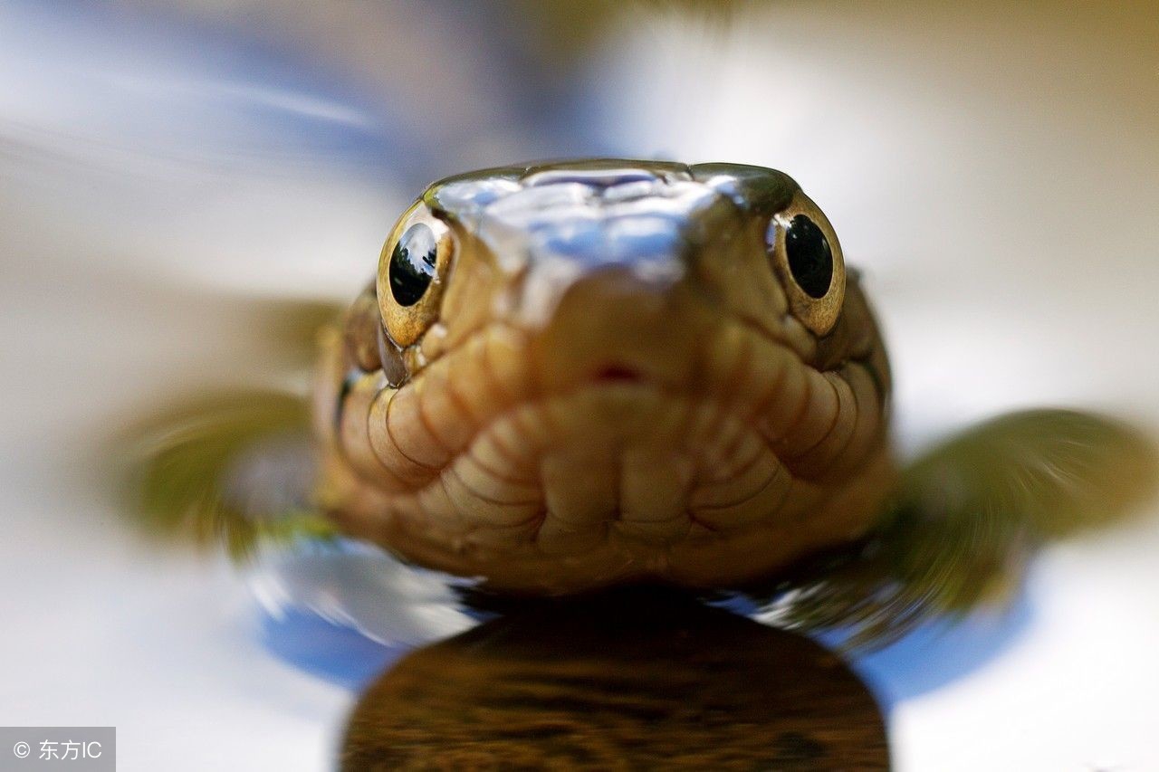 一场大病让我怀胎十月,一场大病竟让我怀胎十月