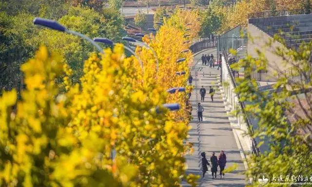 大连实力最强五所高校,大连五所高校排名