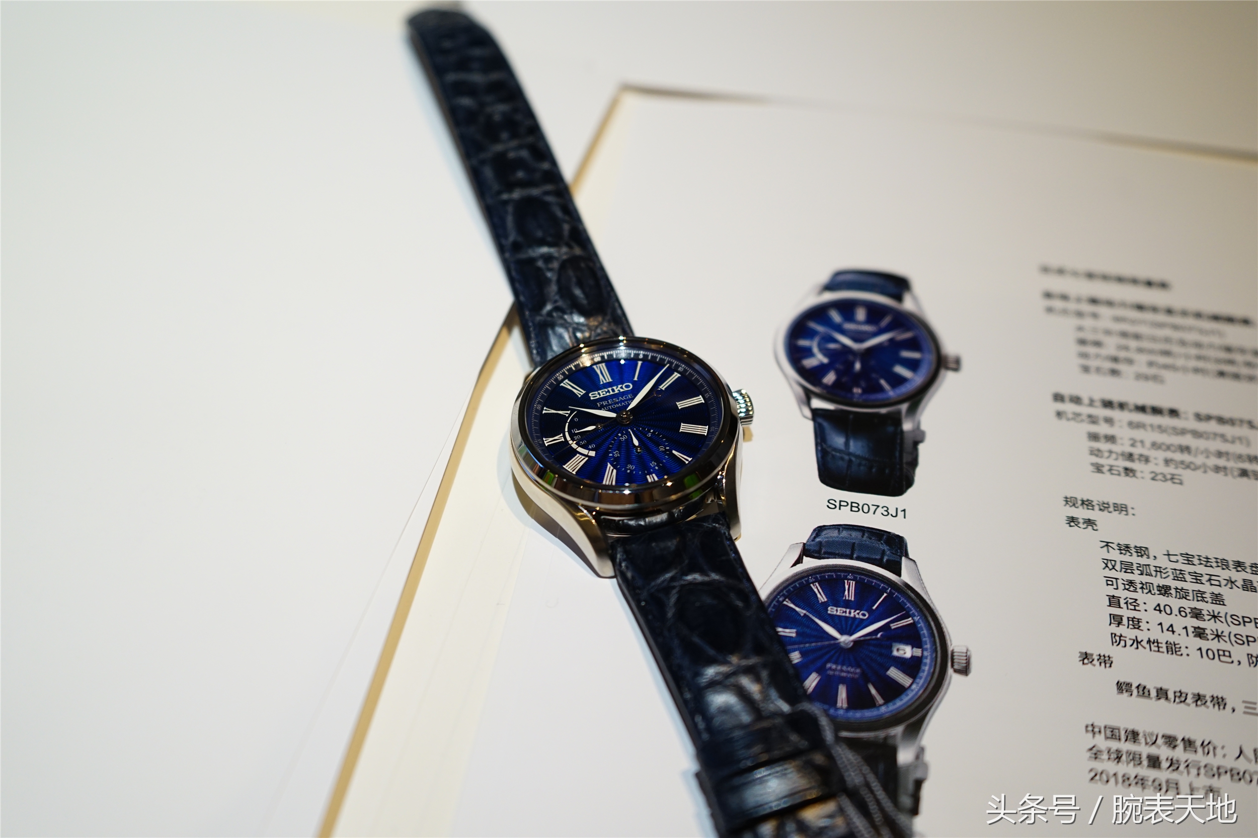 武林大会倚天屠龙记,钟云龙武林大会