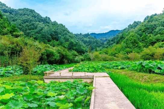 距西安120公里有什么好玩的地方,离西安1.5小时的好玩地方