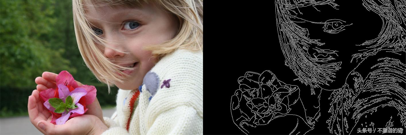 什么是计算机视觉的语义分割,什么是计算机视觉追踪