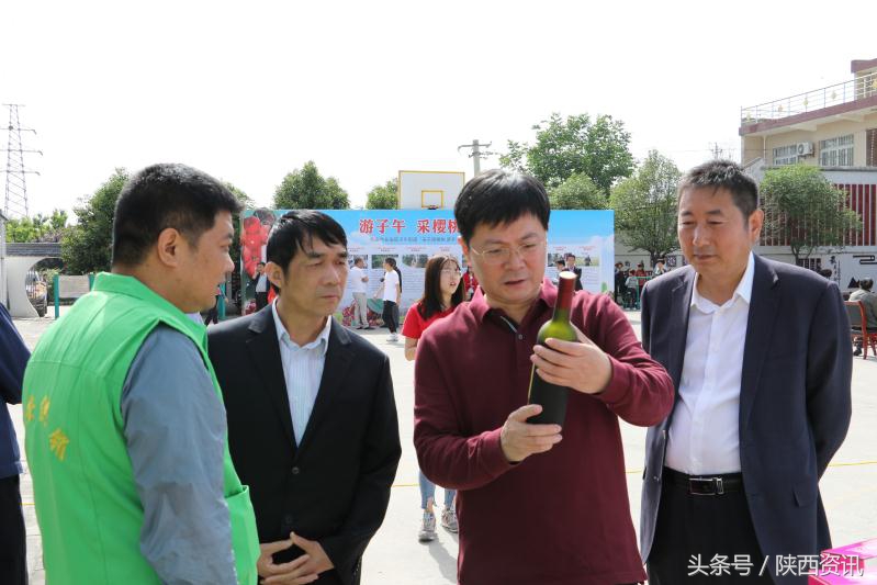 大樱桃带动乡村旅游,樱桃带动乡村旅行