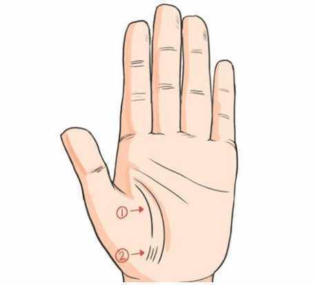 女性右手十字纹和通天纹,五条手纹的命运